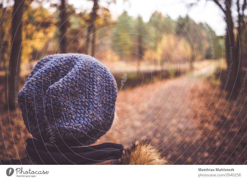 Autumn in sight Human being Woman Adults Head 1 45 - 60 years Nature Landscape Forest Cap Looking Natural Blue Brown Happy Contentment Serene Calm Loneliness