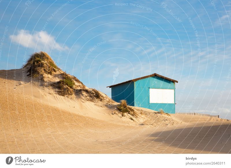 The hut at the dune Living or residing Landscape Sky Clouds Beautiful weather Marram grass Beach Beach dune Hut Authentic Small Positive Blue Yellow Turquoise