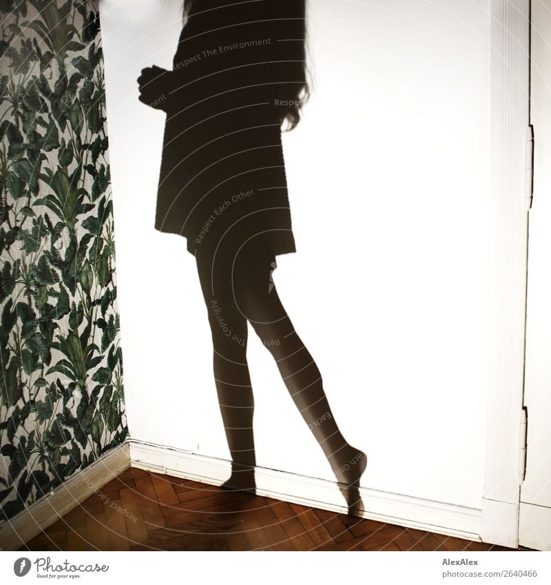 Shadow of a young woman Lifestyle Decoration Wallpaper Plant Pattern Parquet floor Night life Young woman Youth (Young adults) Legs Doorframe Wall (building)