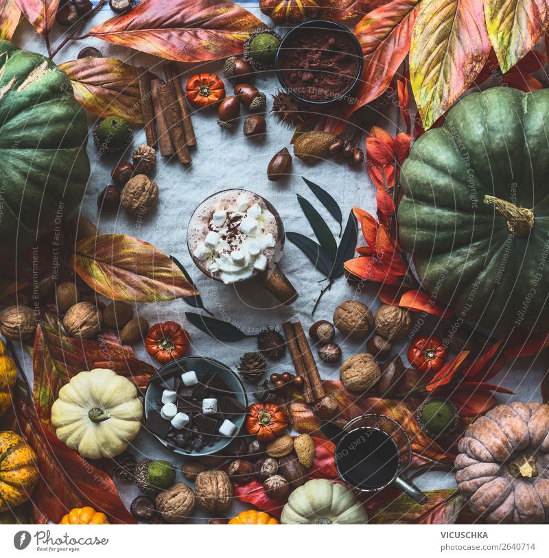 Autumn Still Life with Pumpkins and Hot Chocolate Beverage Hot drink Cup Style Living or residing Flat (apartment) Interior design Decoration Table Warmth