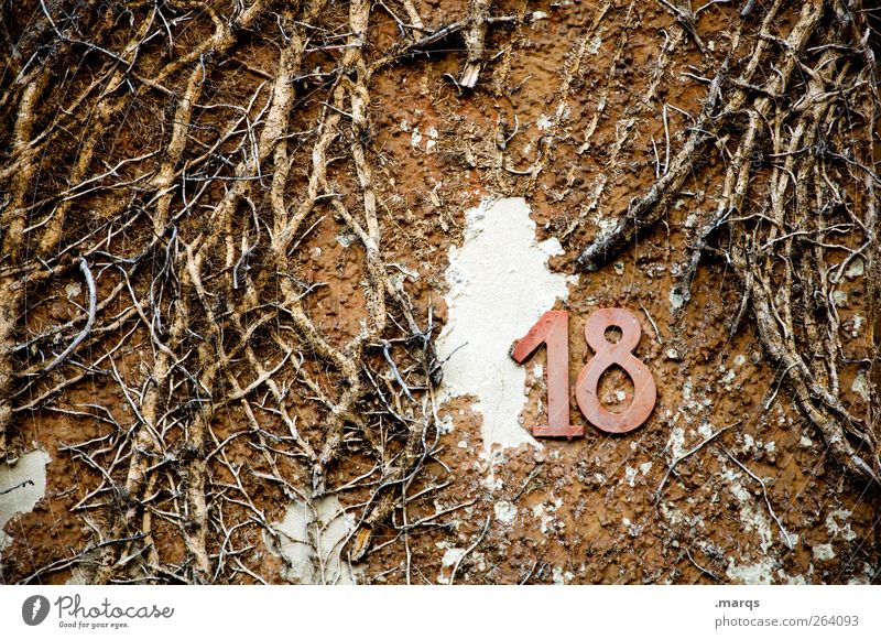 All the best, north traveller. Joy Feasts & Celebrations Nature Wall (barrier) Wall (building) Sign Digits and numbers Old Trashy Addressee Birthday