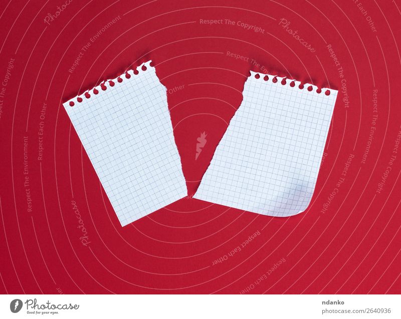 half torn blank white sheet in a cell School Office Business Paper Piece of paper Utilize Write Clean Red White Education Idea Document pad Spiral template
