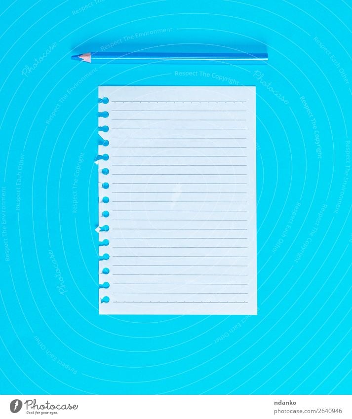 white blank sheet in line torn out of notepad School Office Business Paper Piece of paper Pen Wood Write Blue White Idea Study Pencil Spiral background Blank