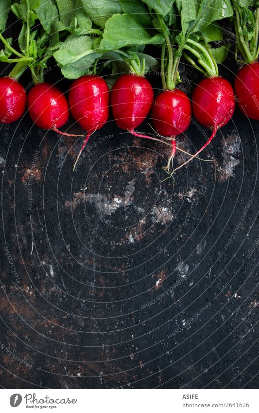 Wet radishes on a grunge background Vegetable Nutrition Vegetarian diet Diet Plant Leaf Drop Dark Fresh Small Natural Green Red Colour Raw Root row food healthy