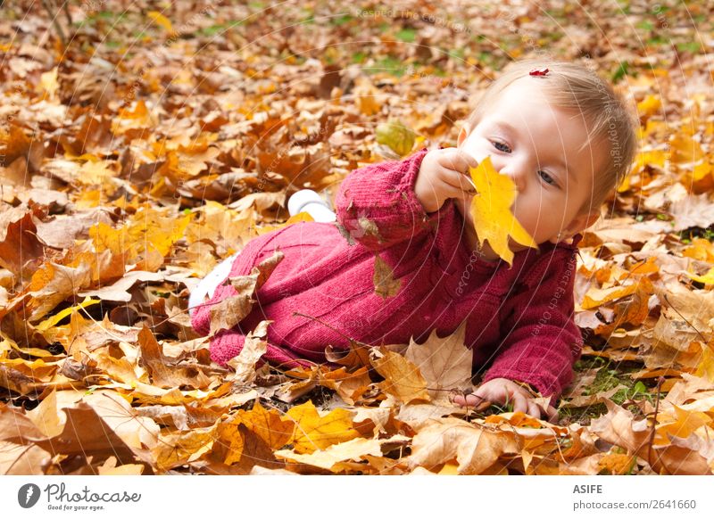 Baby discovering autumn leaves Lifestyle Joy Happy Playing Child Nature Autumn Warmth Leaf Park Forest Blonde Touch Discover To enjoy Happiness Natural Cute