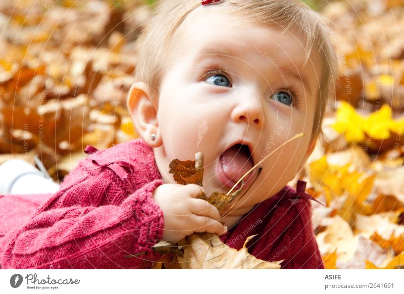 Cute baby girl eating autumn leaves Eating Lifestyle Joy Happy Playing Child Baby Mouth Nature Autumn Warmth Leaf Park Forest Blonde Touch Discover To enjoy