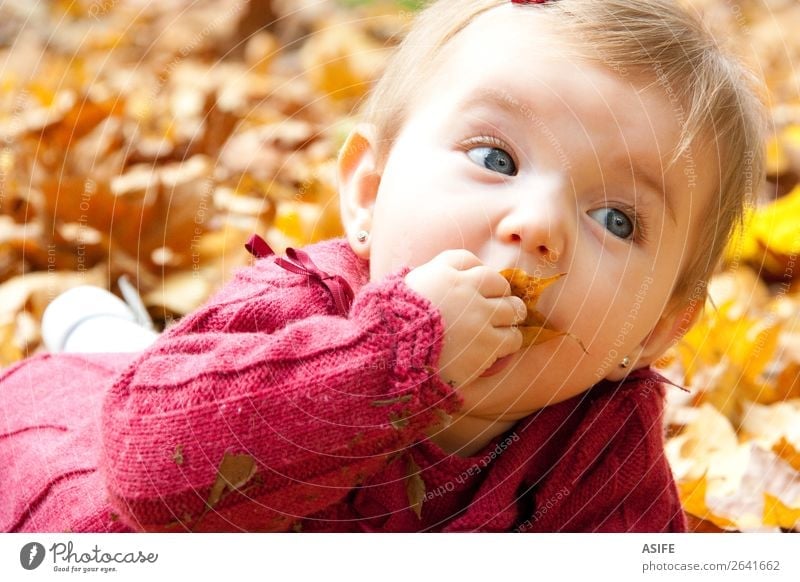 Baby girl eating autumn leaves Eating Lifestyle Joy Happy Playing Child Mouth Nature Autumn Warmth Leaf Park Forest Blonde Touch Discover To enjoy Happiness