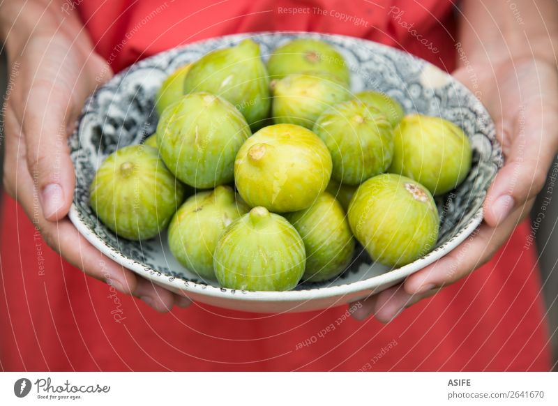 Woman hands holding a dish of green figs Fruit Diet Plate Adults Hand Nature Fresh Juicy Green Red Mature food healthy sweet Organic Mediterranean fiber Dish