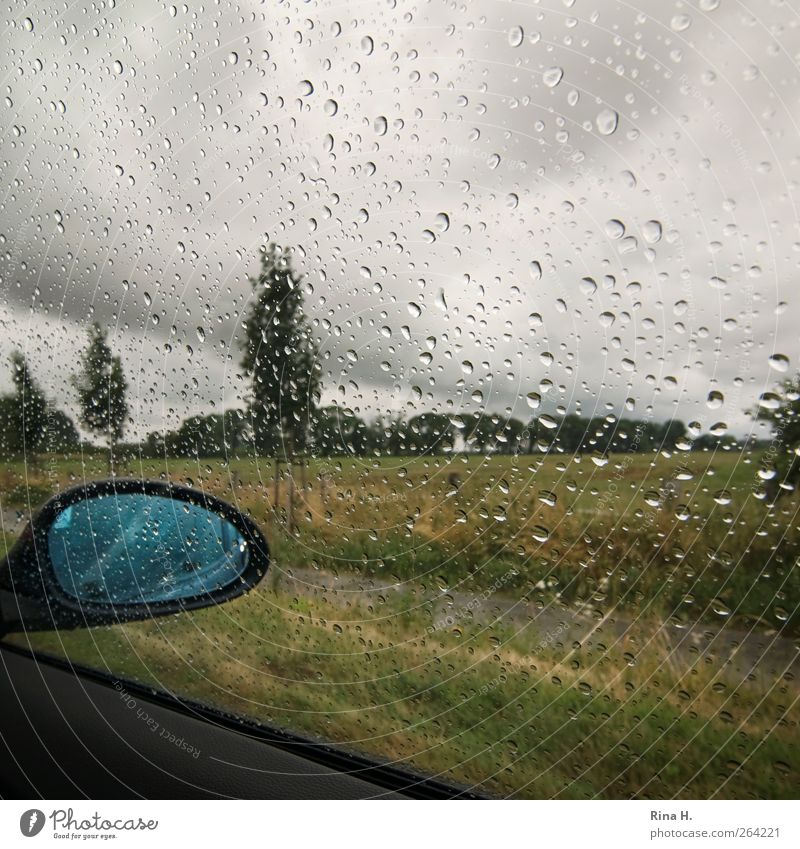 journey home Landscape Clouds Summer Bad weather Rain Tree Meadow Driving Dark Gloomy Pane Drops of water Colour photo Copy Space left Day Car Window