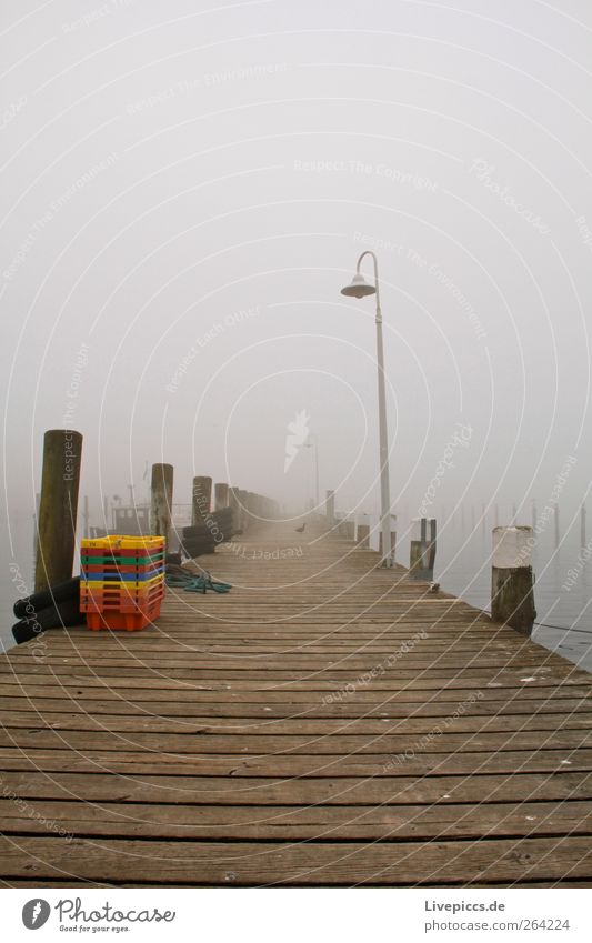Port of Lauterbach1 Fog Deserted Dark Cold Colour photo Exterior shot Morning Dawn Footbridge
