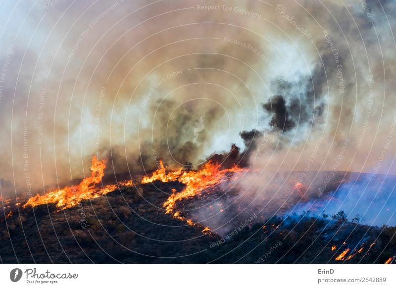 Wildfire Burns Hill with Flames and Dramatic Smoke Beautiful Environment Nature Landscape Cool (slang) Uniqueness Natural Fear Colour Destruction brush wildfire