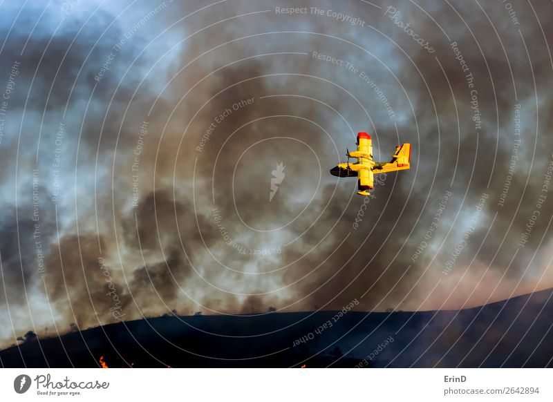 Yellow Plane Flies Over Brushfire with Smoke in Sky Beautiful Environment Landscape Hill Flying Cool (slang) Uniqueness Brave Fear Colour Destruction brush