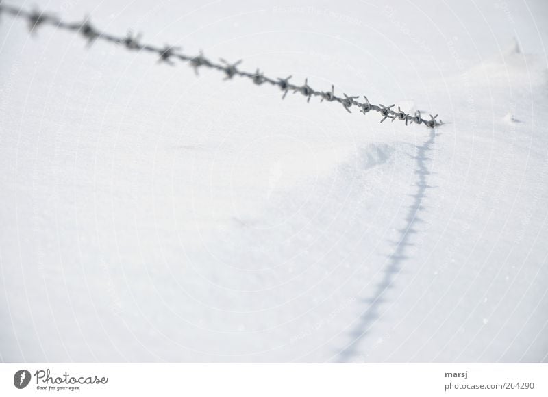 No no, ... Winter Barbed wire Wire Metal Steel Touch Thorny Black White Colour photo Subdued colour Exterior shot Close-up Pattern Structures and shapes