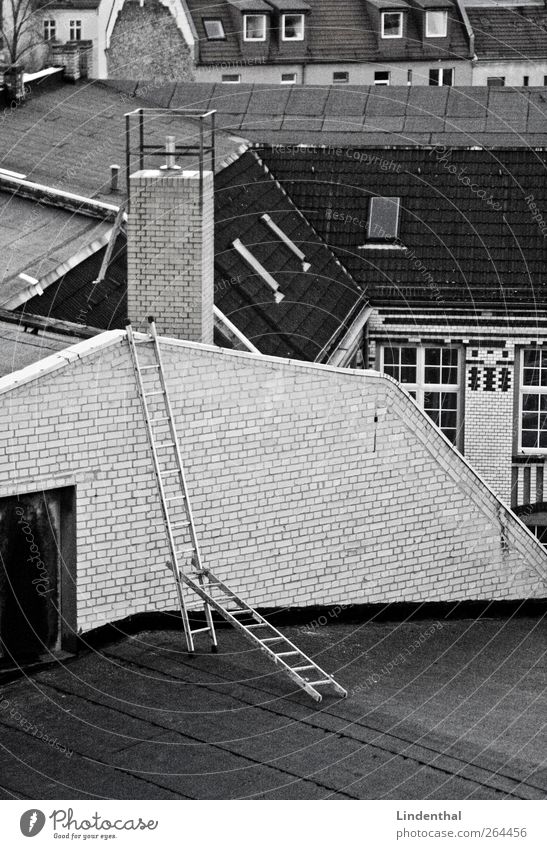 Ladder of robbers on Berlin roofs Roof Above Chimney Chimney sweep House (Residential Structure) Black & white photo Deserted Construction Exceptional 2 Conquer