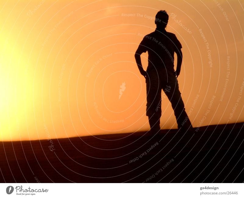 desert man Man Physics Loneliness Calm Dubai Dusk Desert Sun Sunset silouette Sand Warmth sundowner Empty