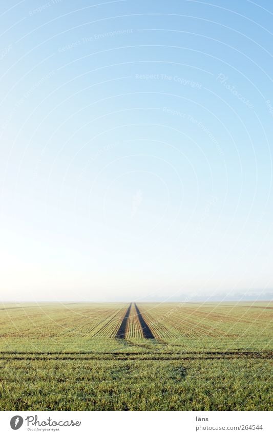 straight ahead Landscape Earth Sky Cloudless sky Spring Beautiful weather Field Infinity Blue Green Environment Lanes & trails Far-off places Tracks
