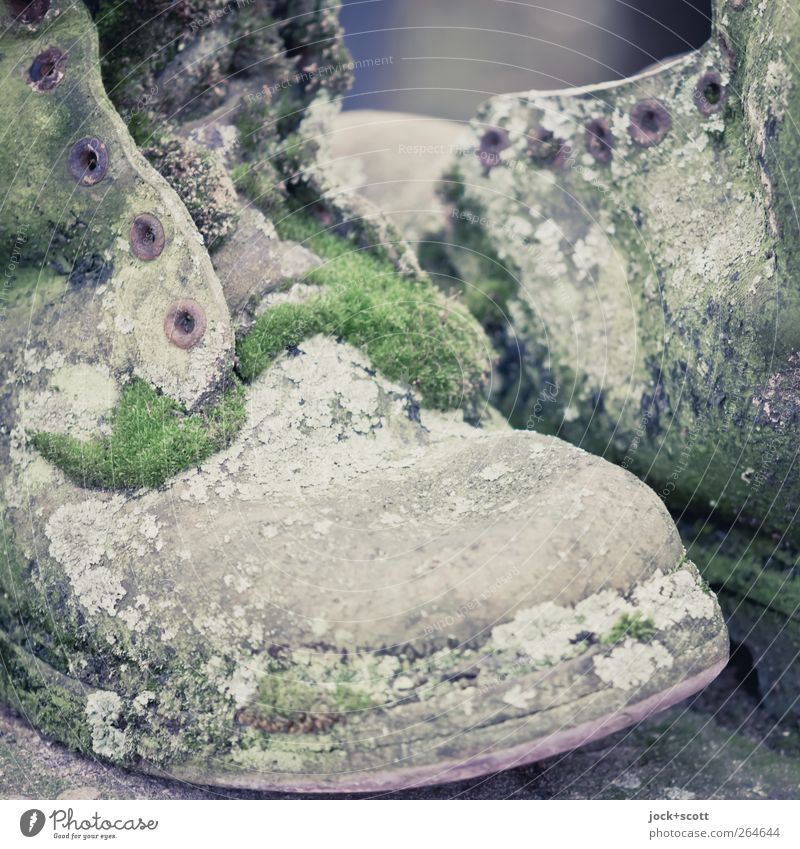 Shoes weathered and overgrown with moss Art Moss Leather Boots Collector's item Old Growth Retro Green Creativity Culture Whimsical Transience Overgrown