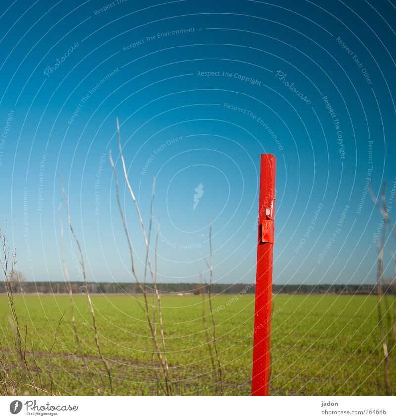 stock photo. Measuring instrument Landscape Sky Cloudless sky Spring Beautiful weather Plant Field Wood Signs and labeling Thin Trashy Blue Green Red Accuracy
