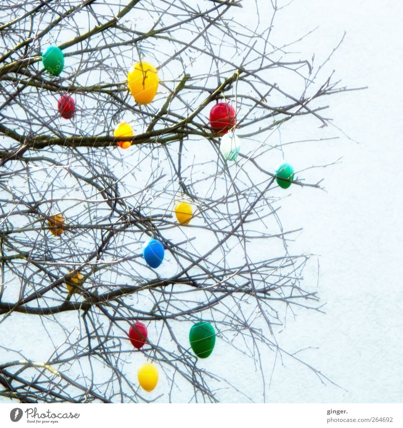 It's Easter!!! Feasts & Celebrations Kitsch Odds and ends Sign Multicoloured Adorned Decoration Twigs and branches String Wall (building) Tree Exterior shot
