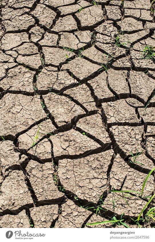 Cracked soil Summer Environment Nature Earth Climate Drought Poverty Hot Natural Death Disaster Crack & Rip & Tear dry land desert Ground background water Mud