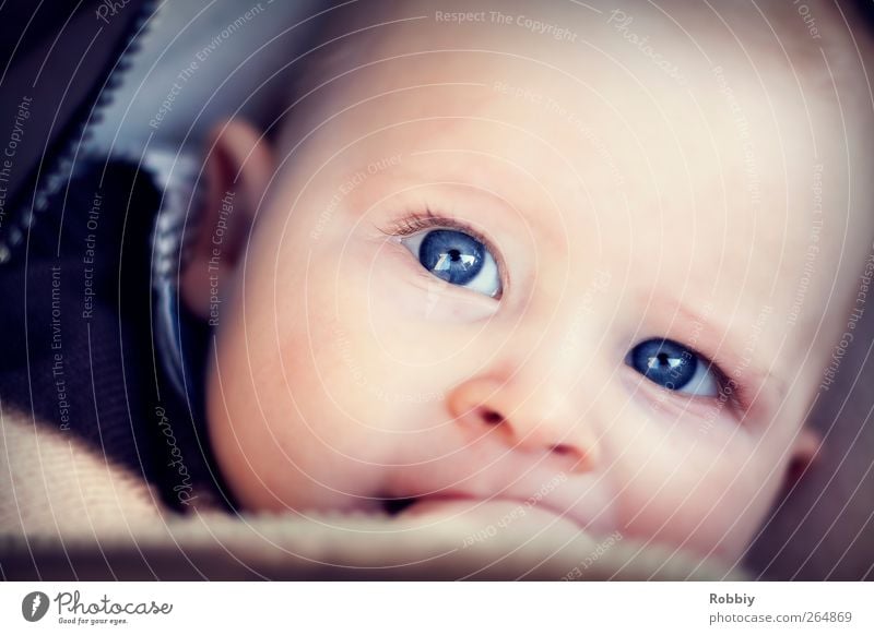 Well, who are you? Human being Masculine Baby Infancy 1 0 - 12 months Lie Friendliness Happiness Small Blue Humanity Uniqueness Eyes Face Facial expression