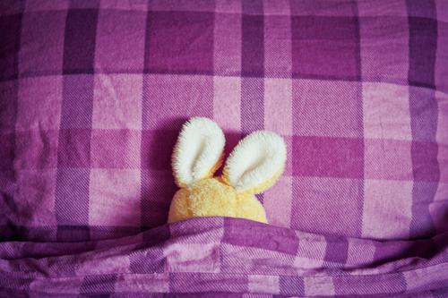 bedtime sweets Bed Easter Cuddly toy Sleep Small Funny Cute Yellow Violet Idea Creativity Easter Bunny Hare & Rabbit & Bunny Ear Bedclothes Cushion Oversleep