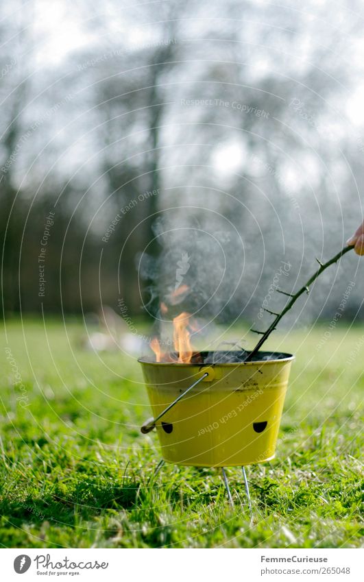 Barbecue season. Leisure and hobbies Garden Adventure BBQ season Barbecue (event) Stick Branch Flame Smoke Fire Charcoal (cooking) Barbecue (apparatus) Yellow