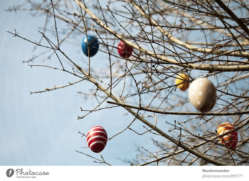 The week has four days Joy Feasts & Celebrations Easter Sky Spring Beautiful weather Bushes Sign Ornament Line Stripe Hang Multicoloured Anticipation