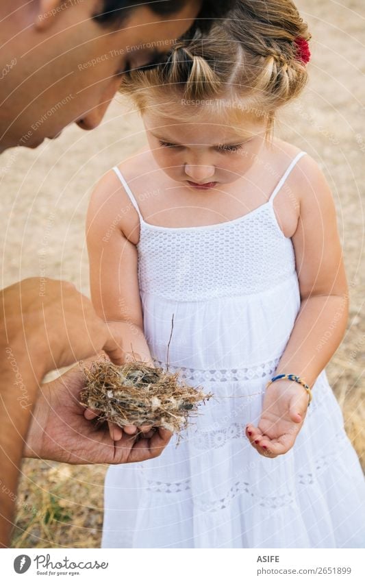 Dad teaching daughter about nature Life Summer Child School Toddler Parents Adults Father Hand Nature Blonde Bird Love Small Curiosity Cute Nest Daughter girl
