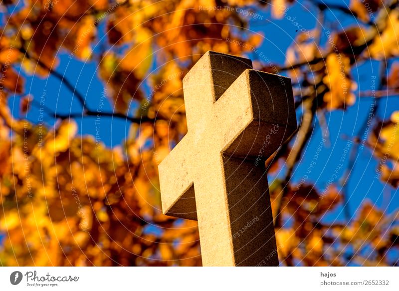 Cross with autumnal leaves in the background Crucifix Yellow To console Grateful Pain Guilty Religion and faith christian Way of the Cross Catholic pilgrim path
