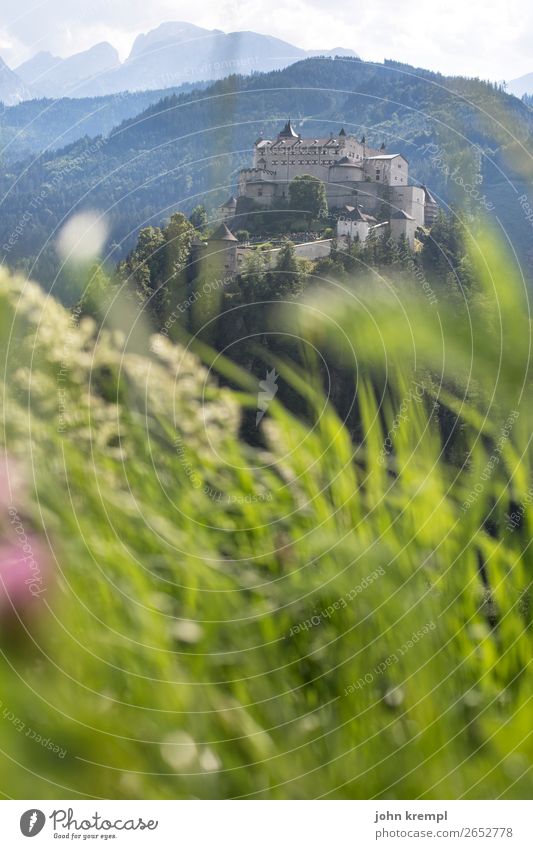 IV Hohenwerfen Castle - Ahoy, my girl Medieval times Knight Historic Tower Sky Clouds Fortress Salzburger Land Forest Exterior shot Tourist Attraction Landmark