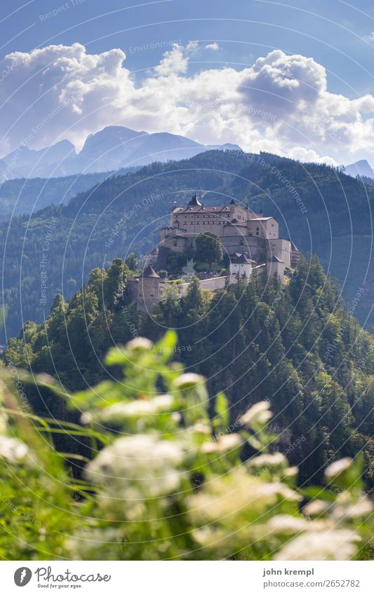 II Hohenwerfen Castle - The Tournament Medieval times Knight Historic Tower Sky Clouds Fortress Salzburger Land Forest Exterior shot Tourist Attraction Landmark