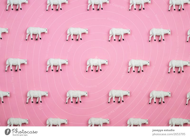 Minimal pattern made of sheep. Design Decoration Feasts & Celebrations Craft (trade) Animal Plastic Sleep Dream Exceptional Simple Above Pink Creativity