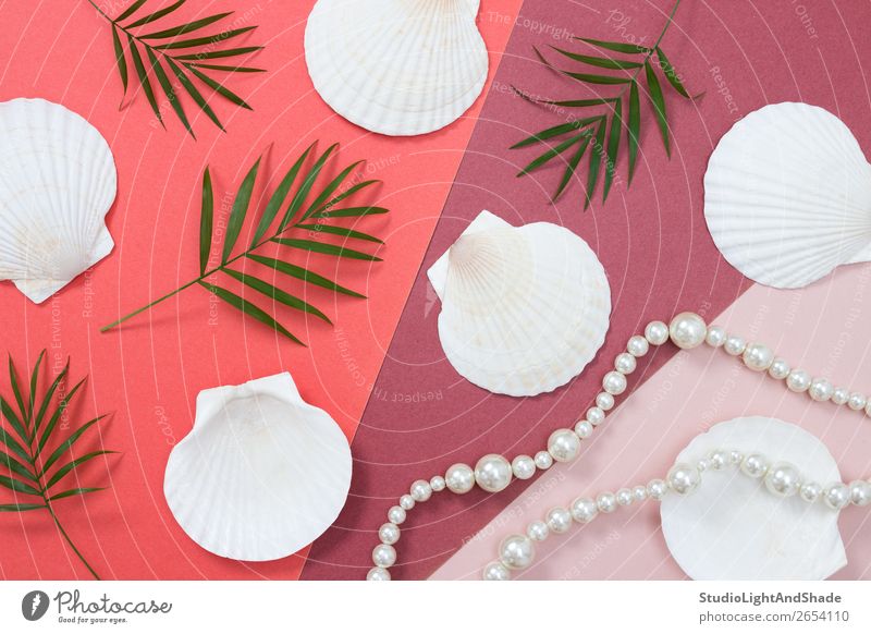 Tropical flat lay with seashells and pearls Luxury Elegant Style Design Exotic Beautiful Vacation & Travel Summer Beach Feminine Nature Plant Tree Leaf Fashion