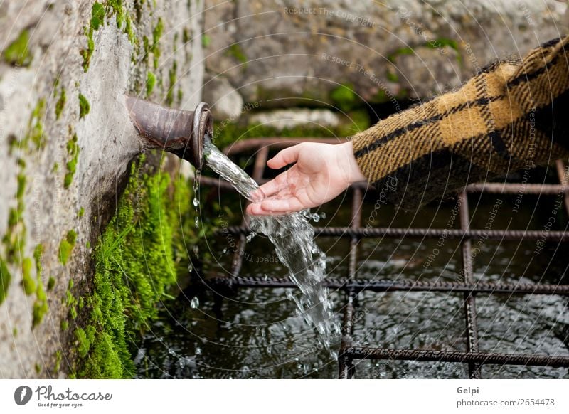Hand touching water from a natural fountain Winter Snow Mountain Child Human being Woman Adults Fingers Nature Moss Brook Coat Stone Drop Fresh Natural Clean