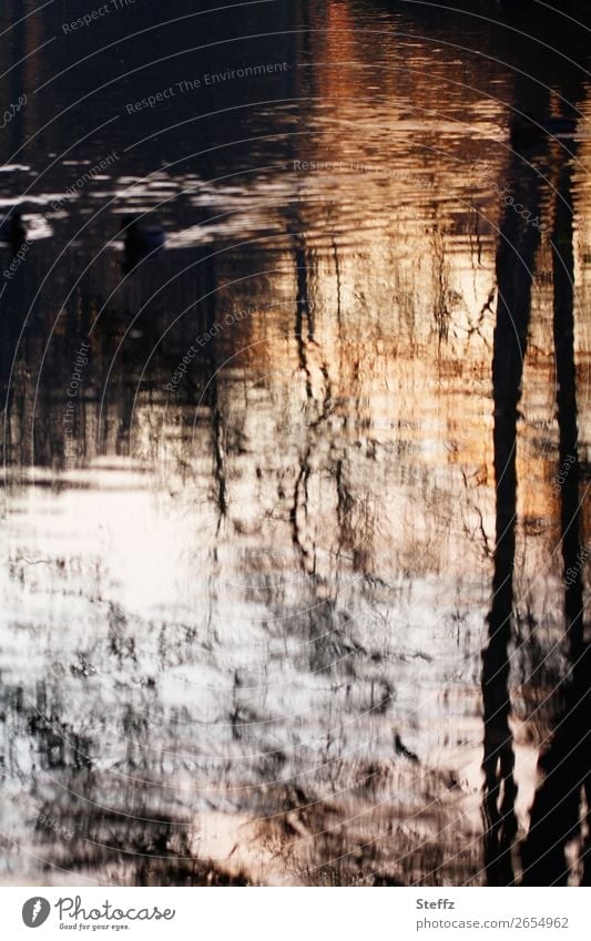 Light reflection in the pond Pond Water reflection November melancholy warped November picture Body of water Distorted Sadness Loneliness Nostalgia autumn mood
