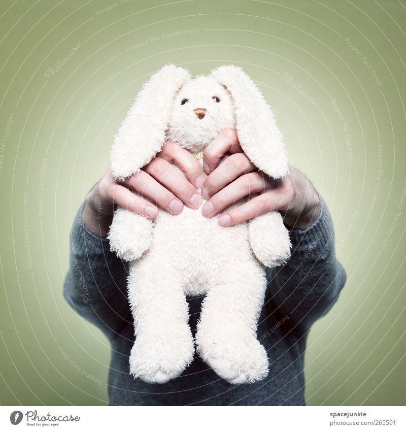 Who killed the rabbit? 1 Human being Animal Catch Creepy Yellow White Revenge Whimsical Humor humorous Hare & Rabbit & Bunny Cuddly toy Toys Strangle Kill Hand