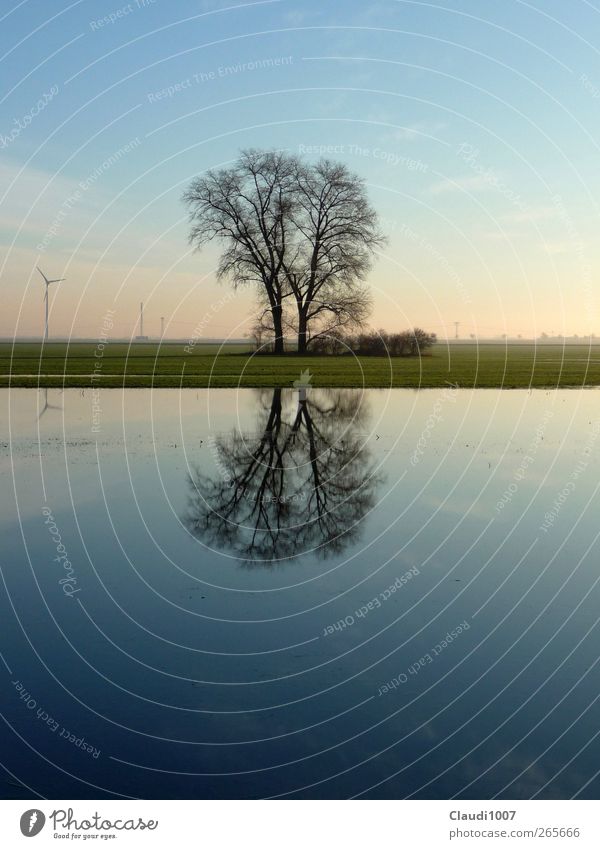 harmony Nature Landscape Plant Water Sky Horizon Spring Tree Grass Field Lake Deluge flooded field Wind energy plant Emotions Happy Contentment Passion