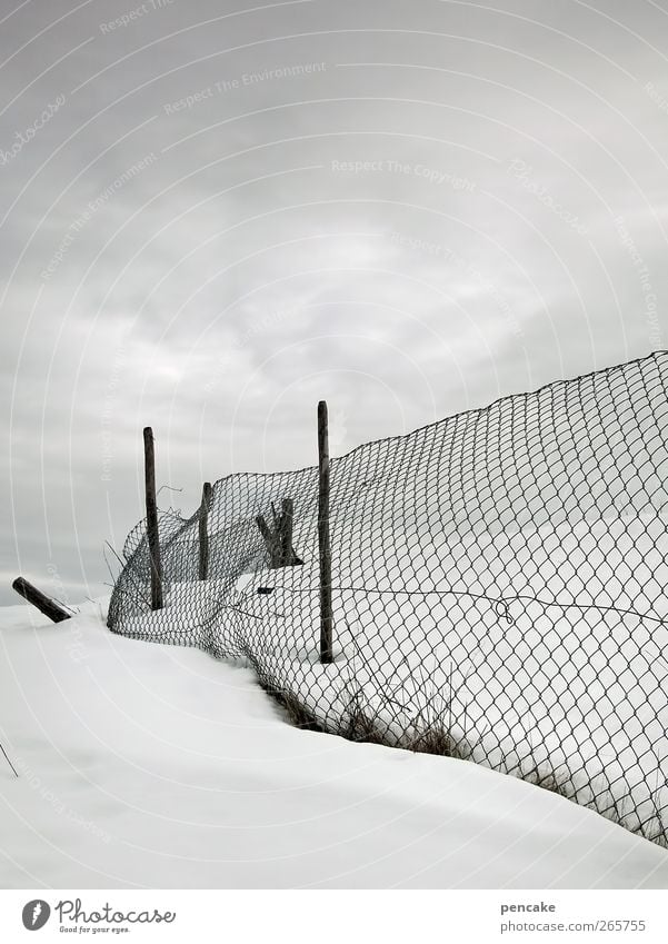 aprilapril Environment Bad weather Ice Frost Snow Field Think Whimsical Wire netting fence Subdued colour Copy Space top Copy Space bottom Deep depth of field
