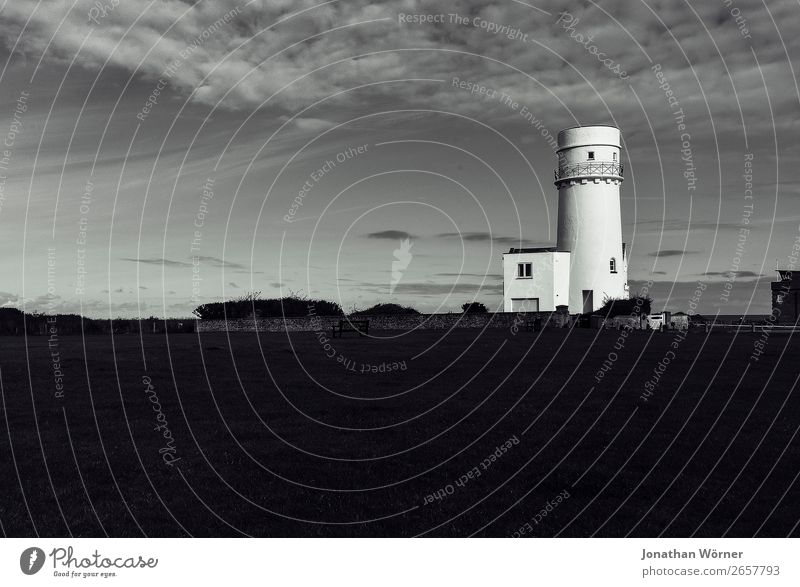 lighthouse Nature Weather Meadow Port City Deserted Tower Lighthouse Gray Black White Black & white photo Exterior shot Evening Low-key