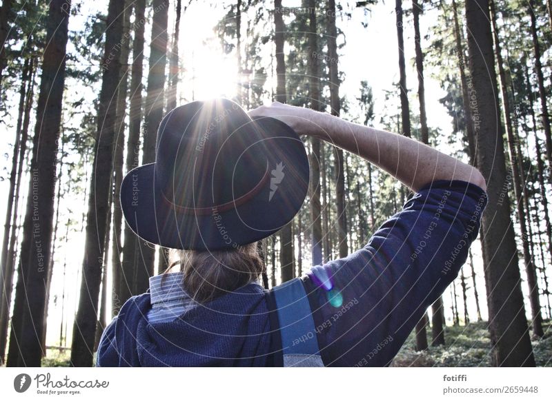 Fotocowboy in the back light Masculine 1 Human being Observe Take a photo Forest Back-light Hat Looking Calm Subdued colour Exterior shot Day Upward