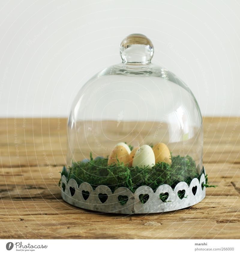 next Easter is planned for Food Nutrition Flat (apartment) Interior design Decoration Brown Yellow Green Easter egg nest Egg Vacuum glass bell Wooden table