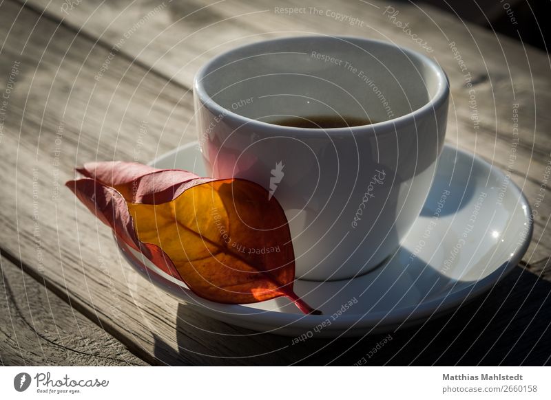 Cup with leaf Beverage Coffee Crockery Table Autumn Leaf Wood Exceptional Hot Yellow Red White Hospitality Calm Contentment Fragrance Break Colour photo