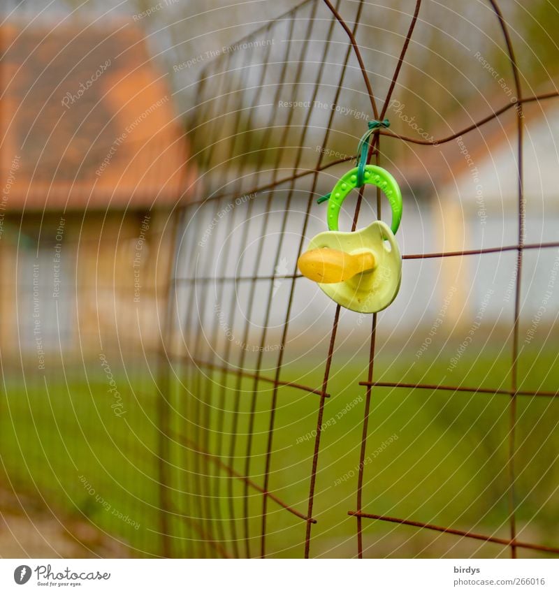 found pacifier hangs visibly on an improvised fence made of rusty construction steel mats. Baby pacifier Soother Discovery Discovery site Wire fence Summer