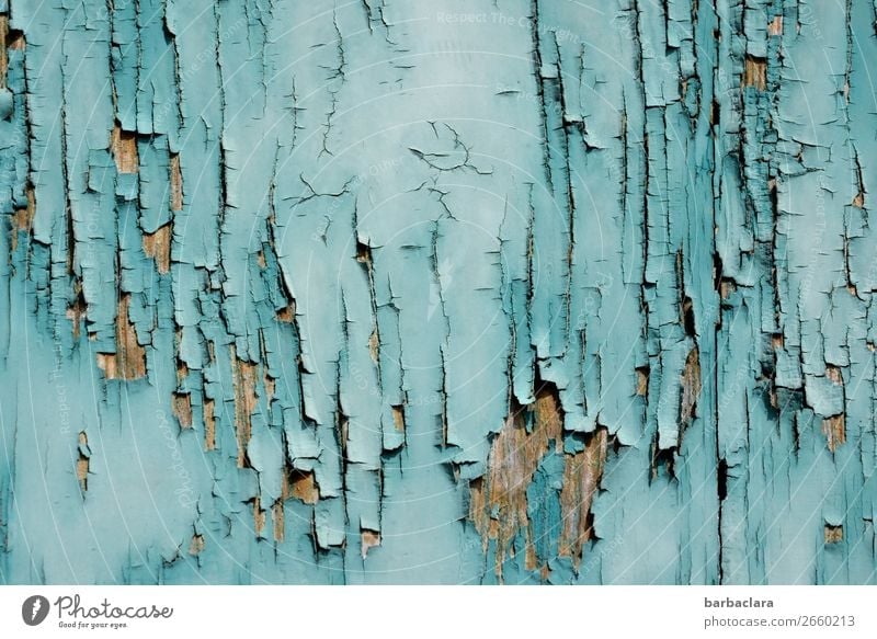 I'm afraid the paint's off. Building Wall (barrier) Wall (building) Facade Door Wood Line Stripe Old Esthetic Blue Turquoise Bizarre Colour Art Transience