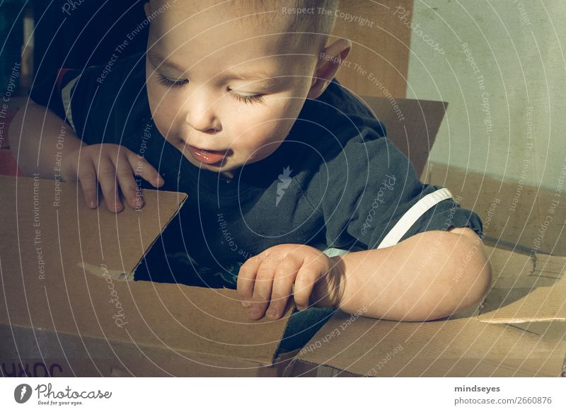 Little boy in a cardboard box Playing Parenting Child Boy (child) 1 Human being 1 - 3 years Toddler Packaging Package Discover Study Happiness Natural Curiosity