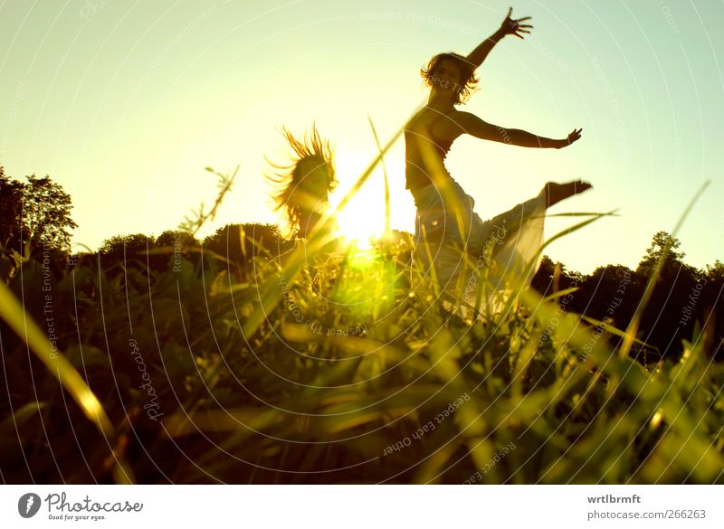 Summer at last Joy Freedom Dance Feminine Young woman Youth (Young adults) 2 Human being Grass Park Meadow Movement Laughter Jump Healthy Friendliness Happiness