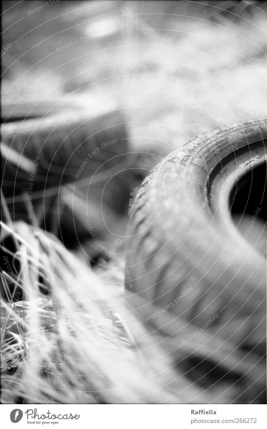 hidden world II Nature Plant Grass Tire Tire tread Wait Remote Throw away Black & white photo Exterior shot Pattern Structures and shapes Deserted Day Blur