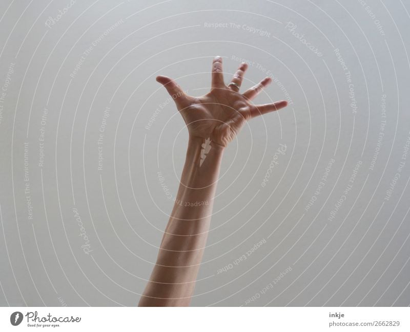 Surprise ! Lifestyle Joy Arm Hand Fingers Authentic Bright background Palm of the hand Gesture Stretching Applause Caucasian Thin Colour photo Interior shot