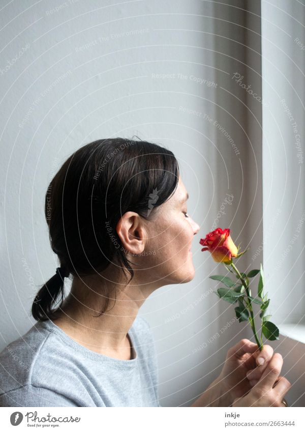 Rose 3 Interior shot Colour photo Bright Authentic Only one woman Woman Adults Upper body Profile Orange White Red Gray Nature Natural Joy Happy Grateful